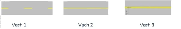 Câu 480: Các vạch dưới đây có tác dụng như thế nào?
